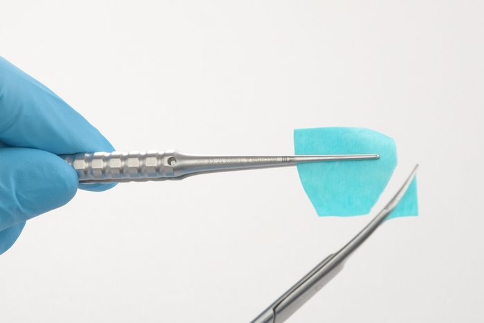 Geistlic Geistlich Bio-Gide Forte - Geistlich Pharma AG